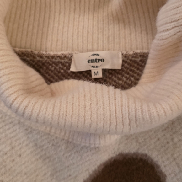 Cozy Cream and Brown Turtleneck Sweater - Picture 2 of 5